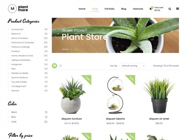 Plant - 6